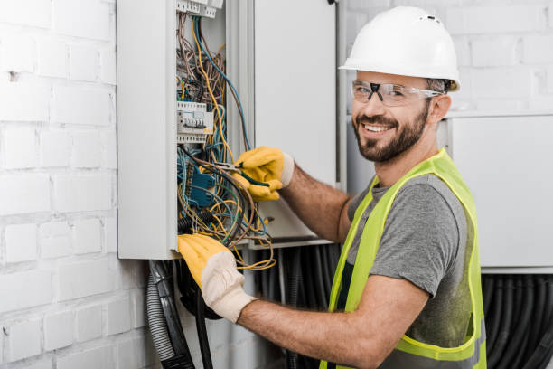 Best Electrician for Home Renovation  in Sheridan, IL