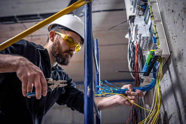 Best Electrical System Inspection  in Sheridan, IL