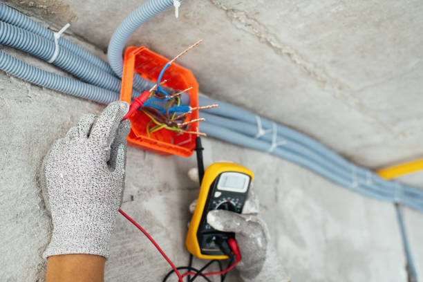 Best Residential Electrician Services  in Sheridan, IL